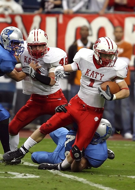 未来发展注 未来发展注